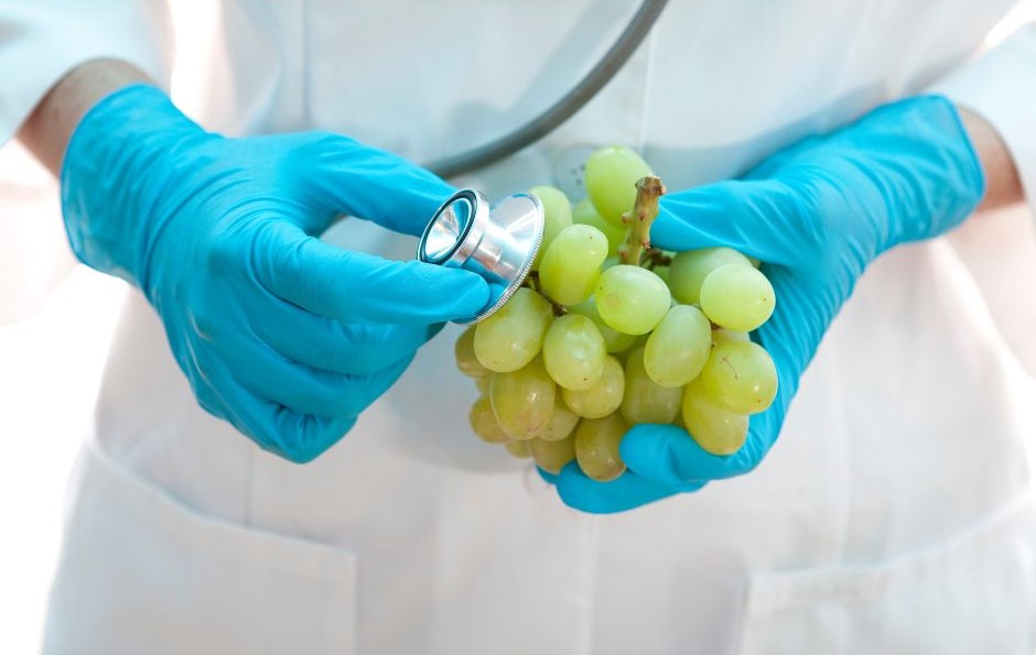 Immagine di medico che "visita" un grappolo di uva con lo stetoscopio